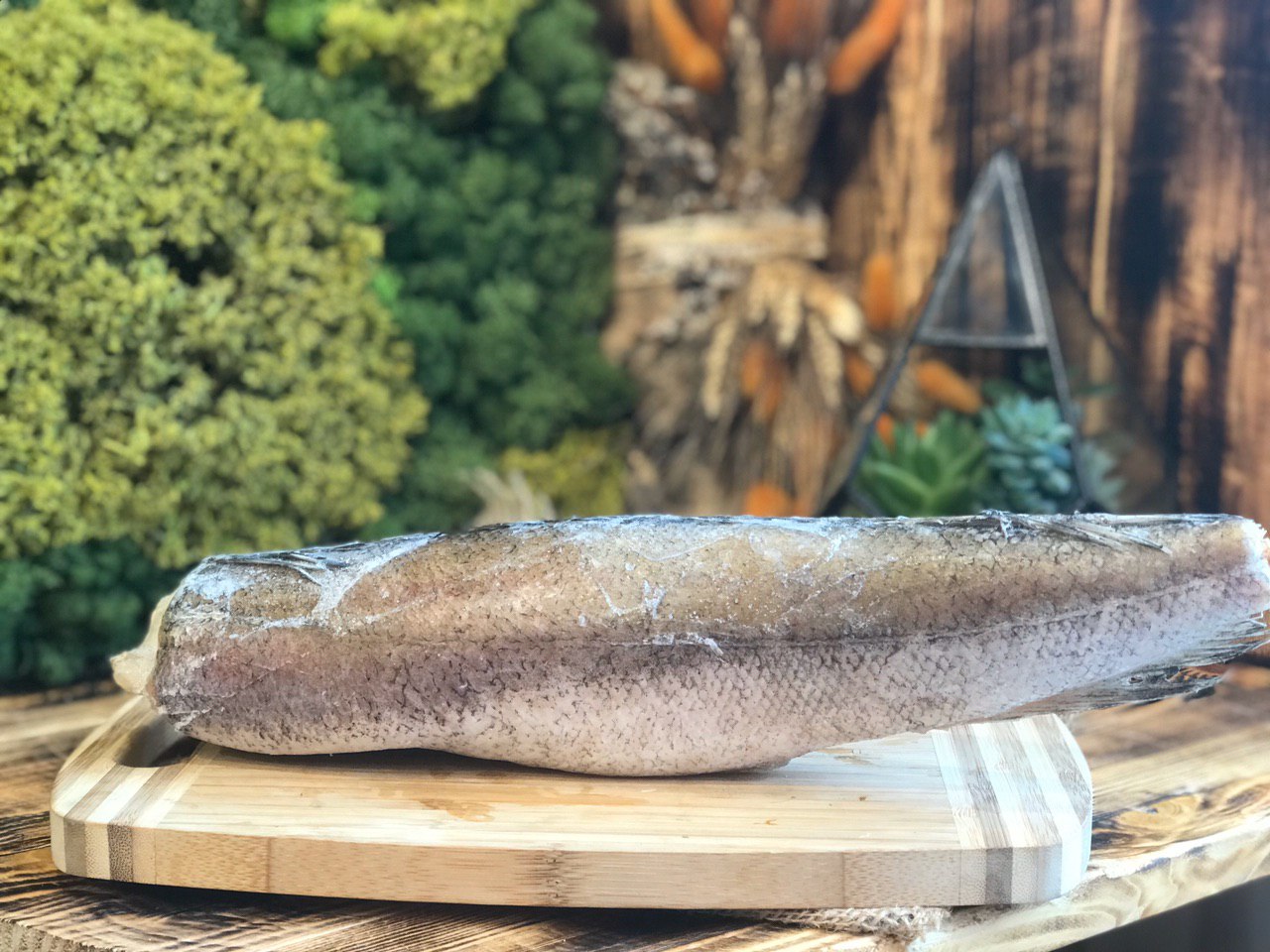 Лобан замороженный