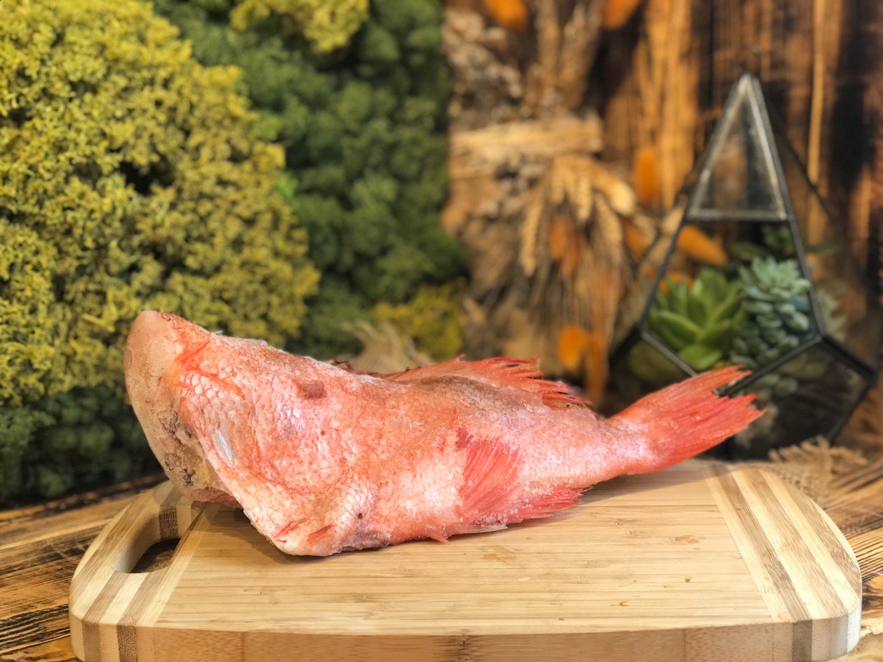 Окунь морской замороженный