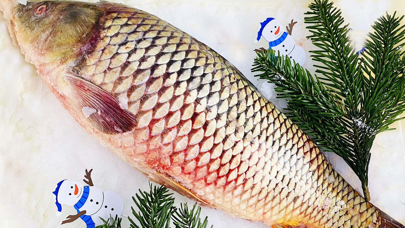 Сазан охлажденный