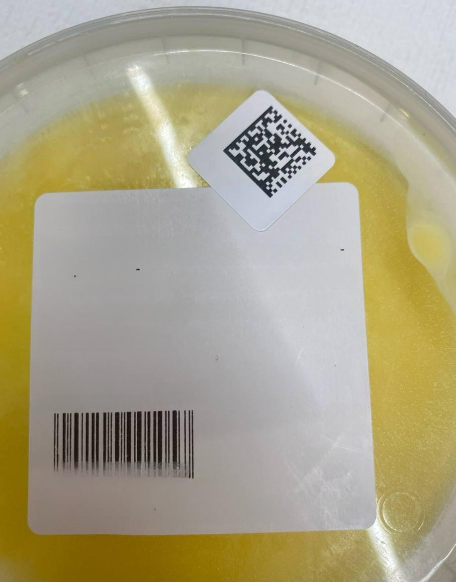 Масло топленное 220 грамм Истринская сыроварня Олега Сироты