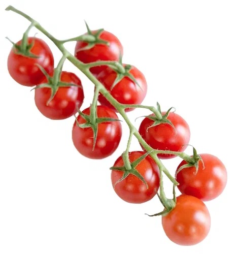 Помидоры черри на ветке