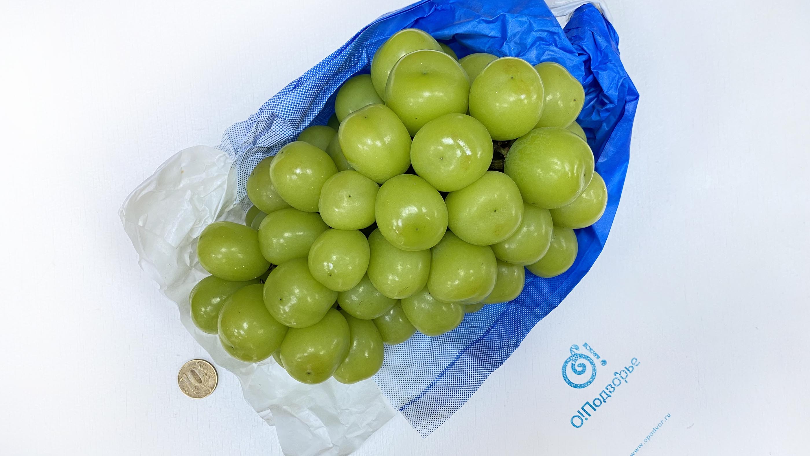 Виноград киш-миш XXL