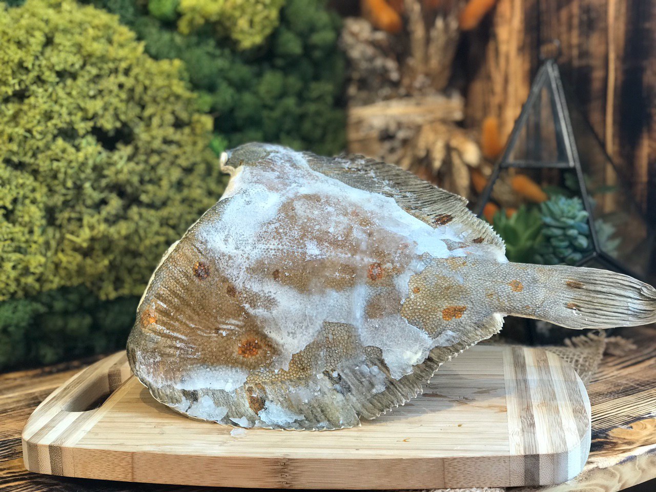 Камбала замороженная