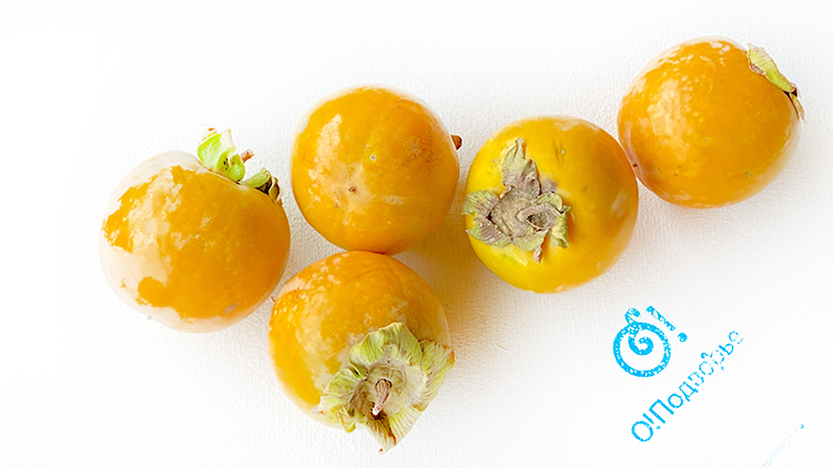 Хурма королёк 