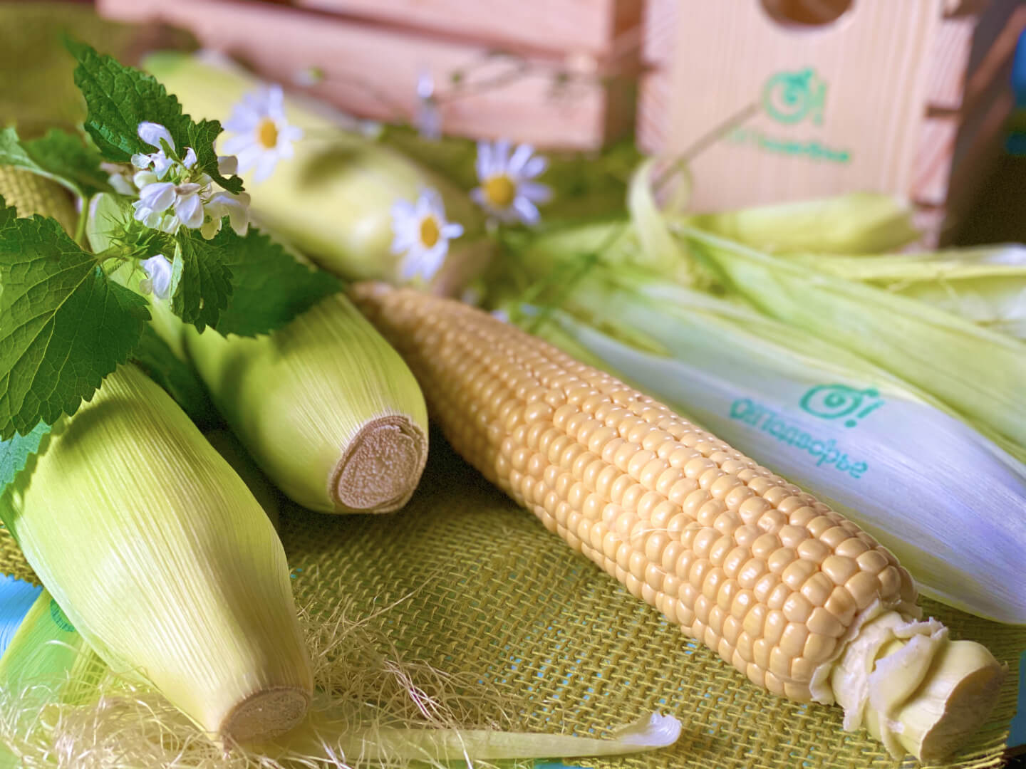 Кукуруза молодая