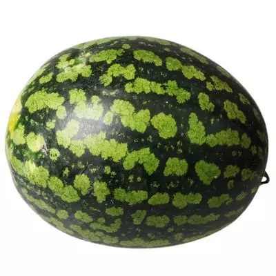 Арбуз зимний сорт "Холодок"