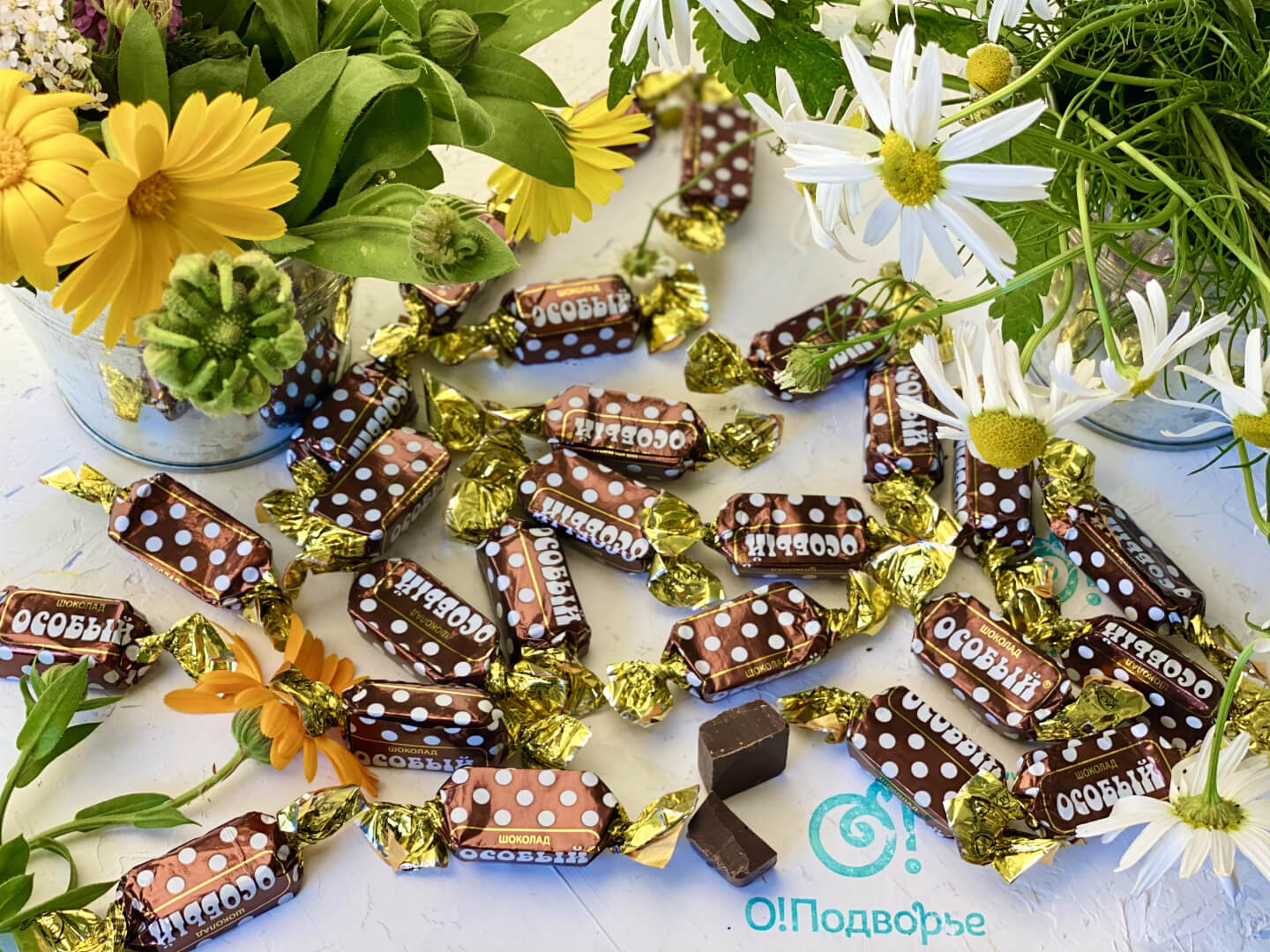 Конфеты "Шоколад Особый"