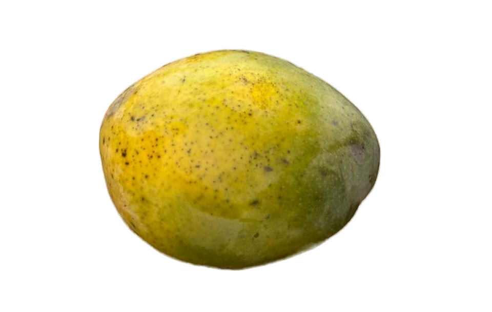 Манго большое спелое