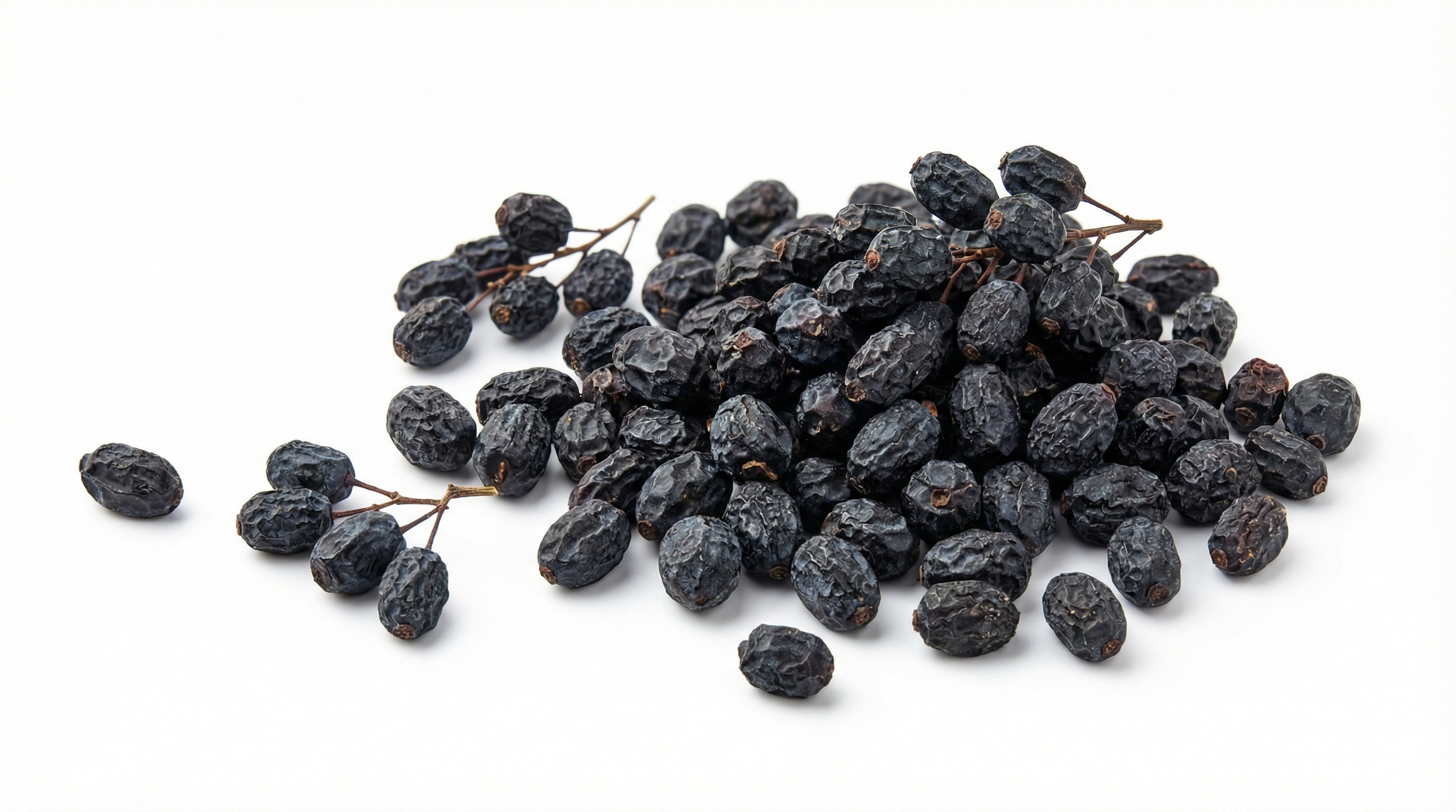 Барбарис черный