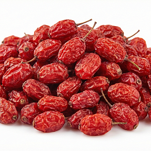 Барбарис красный