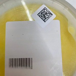 Масло топленное 220 грамм Истринская сыроварня Олега Сироты