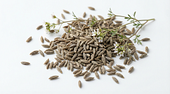 Зира горная Узбекистан