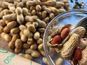 Орехи и семечки