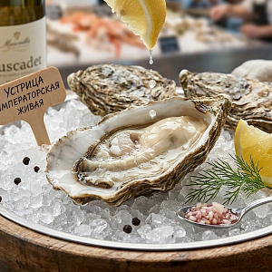Устрица Императорская живая Камчатка 