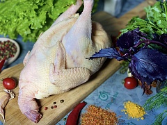 Курица домашняя для варки
