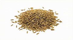 Зира Иран семена