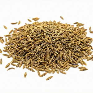 Зира Иран семена