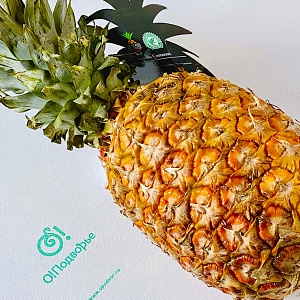 Ананас 