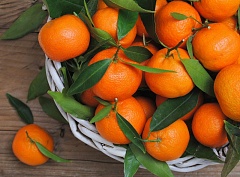 Мандарины Абхазия