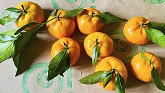 Мандарины мини