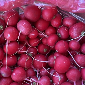 Редис развестной