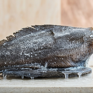 Палтус замороженный