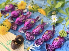 Конфеты "Фруктовичи" Чернослив Михайлович в шоколадной глазури"