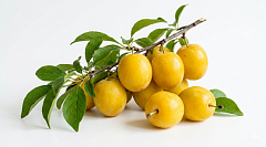 Слива желтая 