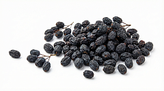 Барбарис черный