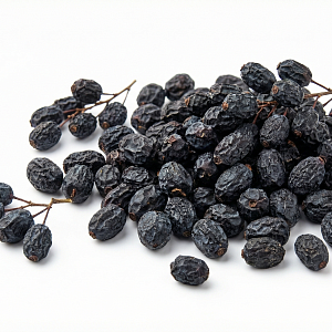 Барбарис черный